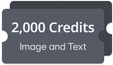 Add 2,000 Credits
(approx. 100 stories)image