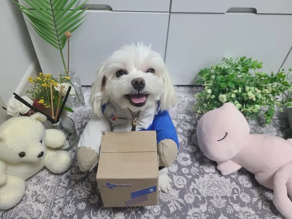 히말 avatar